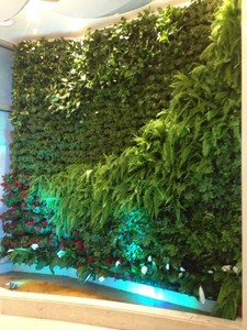 大悦城植物墙
