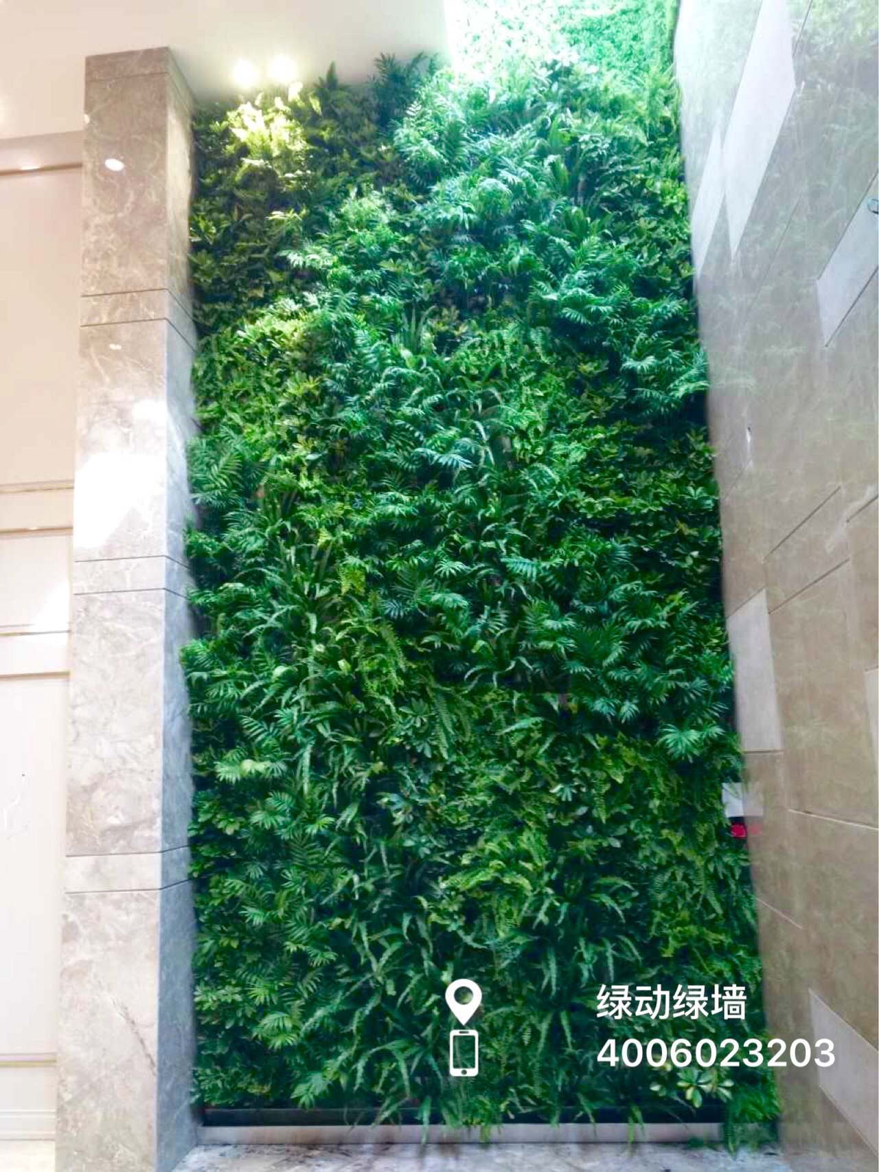 北京三里屯咖啡店植物墙