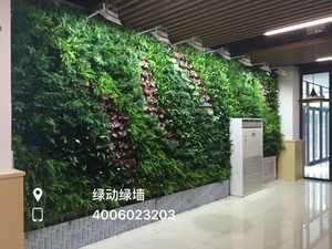 天津大学北洋园校区植物墙工程