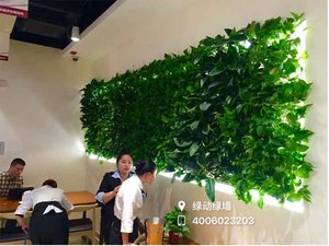东方饺子王植物墙