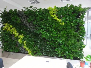 天津工业大学软件学院植物墙
