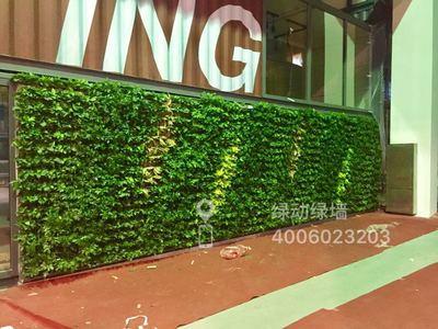 北京市三一重工总部新办公楼植物墙