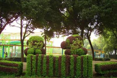 立体花坛 公园立体花坛造型