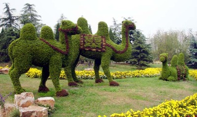 立体花坛 骆驼造型