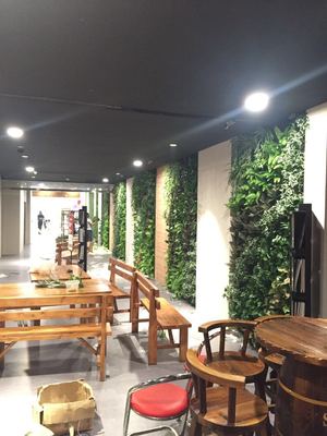 天津市河东区爱琴海购物广场三楼创意街区仿真植物墙