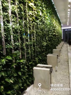 天津市河西区天津湾凯德MALL四楼共享空间植物墙