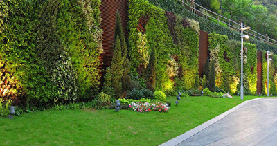 市政墙面绿化