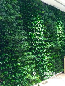 北京兰色巴黎西餐厅植物墙