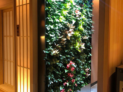 日本料理店植物墙