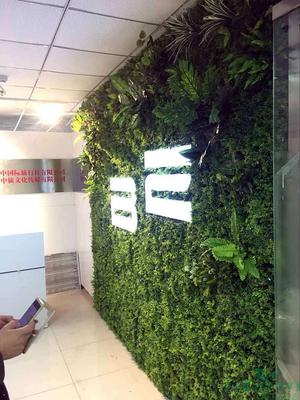 中关村E谷（南开）创想世界旅行社植物墙