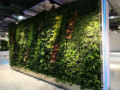 亿华录信息技术公司植物墙