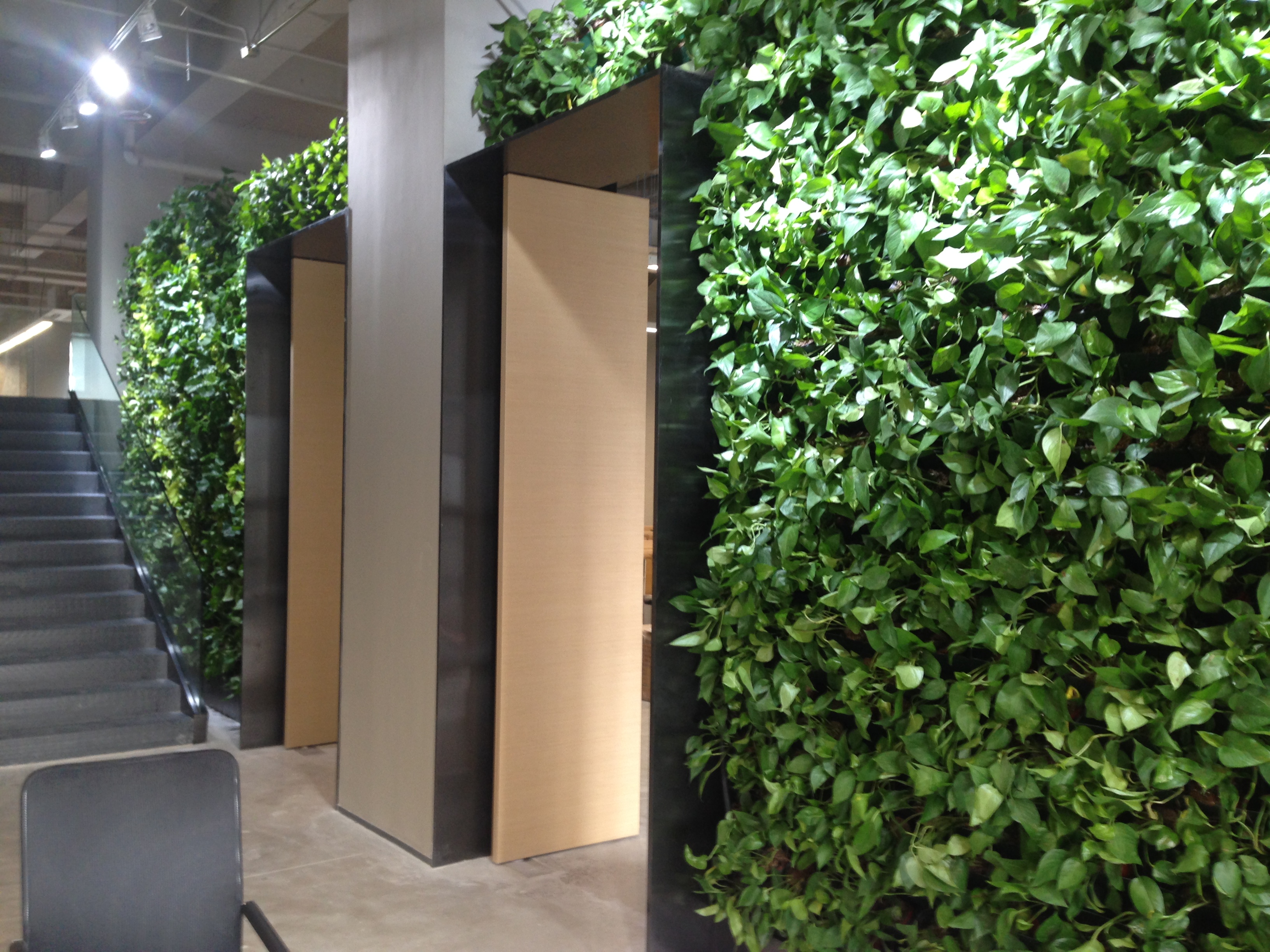 招商地产办公室植物墙